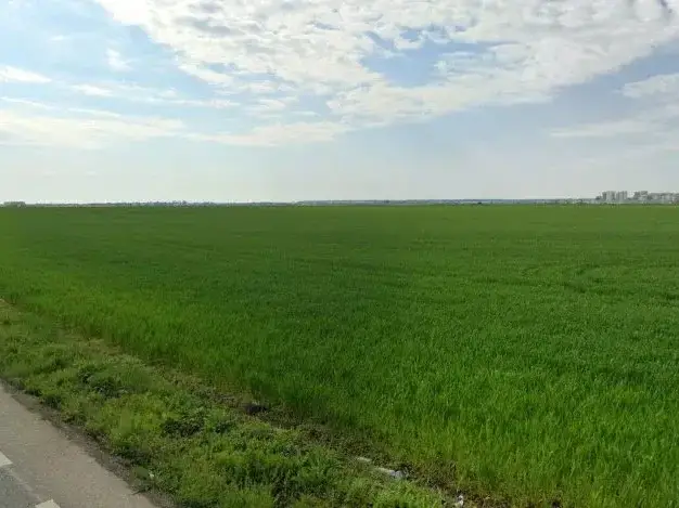 Teren sosea Tunari Stefanesti 17000 mp cu PUZ Lotizat rezidential img 2